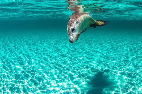 Carnac Island Half Day Sail - Darwin Holiday 10