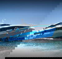 Rottnest Island Day Tour with Wild Seafood Banquet Cruise - Darwin Holiday