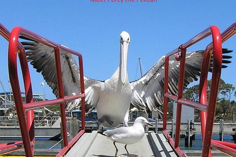 Albany Wildlife And Scenic Cruise - Darwin Holiday 2