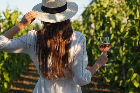 7 Hour Full Day Tour: Morning Tea, Chocolate, Olives, 3 Wineries & Lunch - Darwin Holiday 0