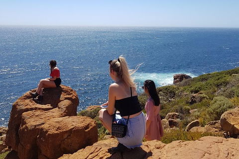 7 Hour Full Day Tour: Morning Tea, Chocolate, Olives, 3 Wineries & Lunch - Darwin Holiday 11