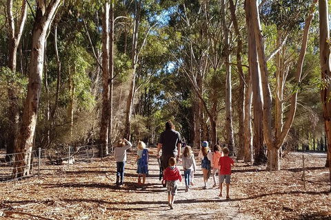 7 Hour Full Day Tour: Morning Tea, Chocolate, Olives, 3 Wineries & Lunch - Darwin Holiday 21