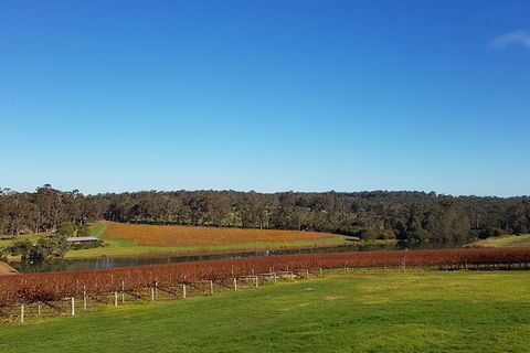 7 Hour Full Day Tour: Morning Tea, Chocolate, Olives, 3 Wineries & Lunch - Darwin Holiday 7