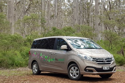 7 Hour Full Day Tour: Morning Tea, Chocolate, Olives, 3 Wineries & Lunch - Darwin Holiday 6