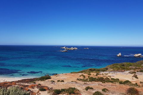 7 Hour Full Day Tour: Morning Tea, Chocolate, Olives, 3 Wineries & Lunch - Darwin Holiday 10