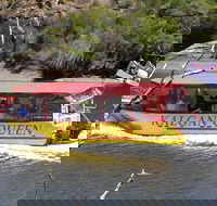 Kalgan Queen Scenic Cruises a four hour sheltered water wildlife tour daily fun. - Darwin Holiday