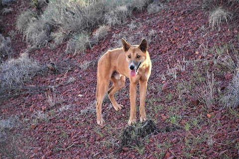 20 Day Perth To Darwin Adventure - Darwin Holiday 11