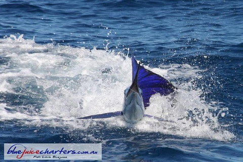 Montebello Island Fishing Charters - Darwin Holiday 6