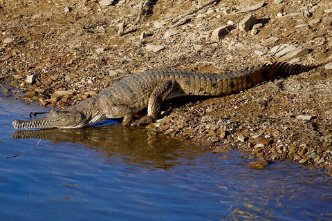 Lake Argyle Best Of Lake Argyle Cruise Departing Lake Argyle - Darwin Holiday 8