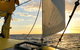 Fremantle Sunset Sail On WA\'s Iconic Yellow Catamaran - thumb 9