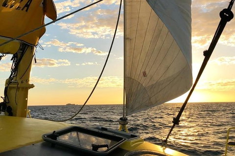 Fremantle Sunset Sail On WA\'s Iconic Yellow Catamaran - Darwin Holiday 9