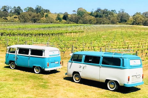 VW Kombi Wine Tour In The Swan Valley - Darwin Holiday 6
