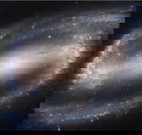 Dusk to Dawn Astronomy Experience at Bullara Station Stay - Darwin Holiday