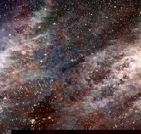 Overnight Astronomy Experience Ningaloo - Yardie Homestead - Darwin Holiday