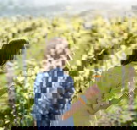 5 Hours Wineries Coffee Tasting Forest  Lunch at the Berry Farm - Darwin Holiday