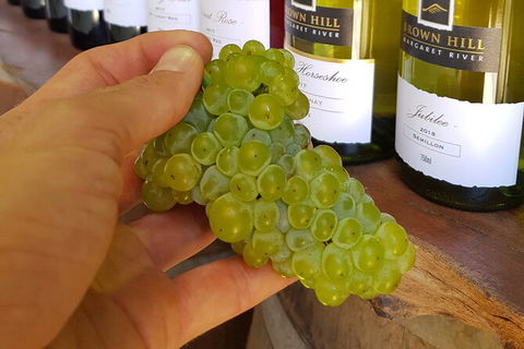 5 Hours Wineries, Coffee Tasting, Forest & Lunch At The Berry Farm - Darwin Holiday 12