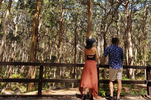 5 Hours Wineries, Coffee Tasting, Forest & Lunch At The Berry Farm - Darwin Holiday 11