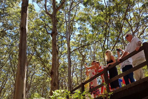 5 Hours Wineries, Coffee Tasting, Forest & Lunch At The Berry Farm - Darwin Holiday 4