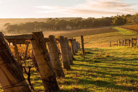 5 Hours Wineries, Coffee Tasting, Forest & Lunch At The Berry Farm - Darwin Holiday 19