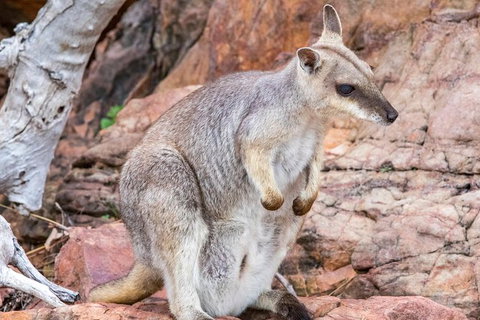 Lake Argyle Sunset Magic Cruise Departing Lake Argyle - Darwin Holiday 6