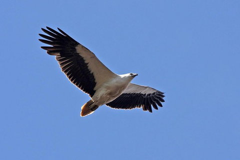 Lake Argyle Birdwatching Charter - Darwin Holiday 4
