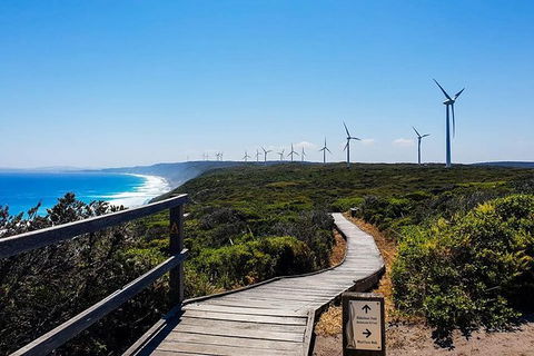 Torndirrup National Park And Bay Highlights - Darwin Holiday 0