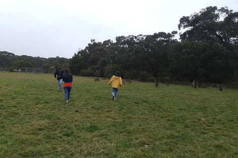 Private Tour: Great Ocean Road From Melbourne - Darwin Holiday 17