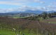 2-Day Yarra Valley Wine Tour With Luxury Vineyard Resort Stay - thumb 2