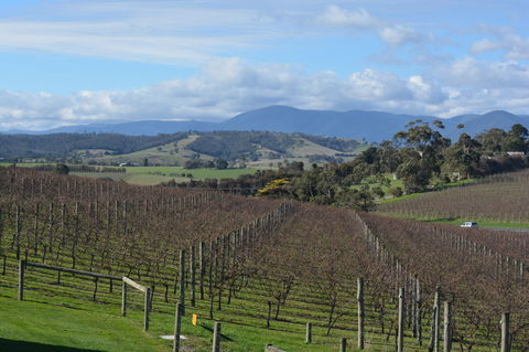 2-Day Yarra Valley Wine Tour With Luxury Vineyard Resort Stay - Darwin Holiday 2