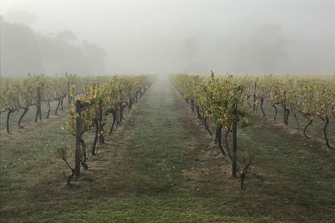 2-Day Yarra Valley Wine Tour With Luxury Vineyard Resort Stay - Darwin Holiday 11