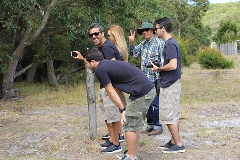 Small-Group Great Ocean Road Day Trip From Melbourne - Darwin Holiday 10