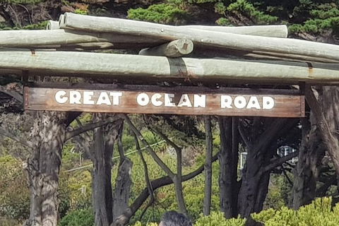 2 Day Great Ocean Road Tour From Melbourne - Darwin Holiday 24
