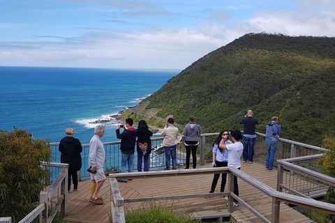 2 Day Great Ocean Road Tour From Melbourne - Darwin Holiday 16