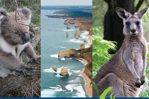 2 Day Great Ocean Road Tour From Melbourne - Darwin Holiday 15