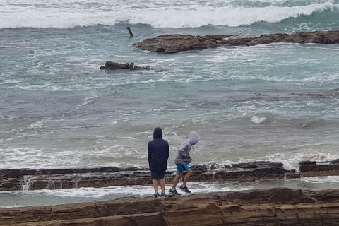 2 Day Great Ocean Road Tour From Melbourne - Darwin Holiday 4