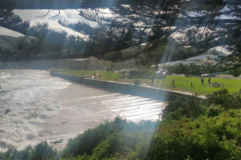 2 Day Great Ocean Road Tour From Melbourne - Darwin Holiday 20