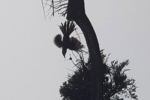 2 Day Great Ocean Road Tour From Melbourne - Darwin Holiday 6