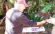 Puffing Billy Steam Train & Healesville Wildlife Sanctuary Tour From Melbourne - thumb 9