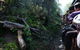 Puffing Billy Steam Train & Healesville Wildlife Sanctuary Tour From Melbourne - thumb 5