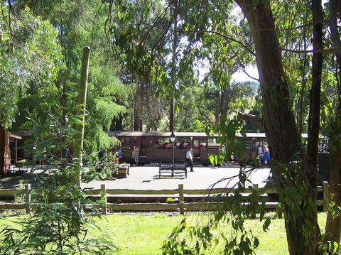Puffing Billy Steam Train & Healesville Wildlife Sanctuary Tour From Melbourne - Darwin Holiday 10