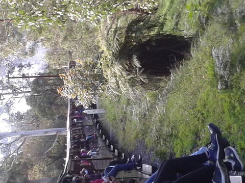 Puffing Billy Steam Train & Healesville Wildlife Sanctuary Tour From Melbourne - Darwin Holiday 7