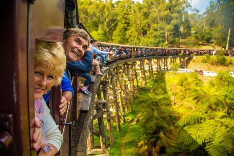 Puffing Billy Steam Train & Healesville Wildlife Sanctuary Tour From Melbourne - Darwin Holiday 0