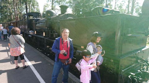 Puffing Billy Steam Train & Healesville Wildlife Sanctuary Tour From Melbourne - Darwin Holiday 4