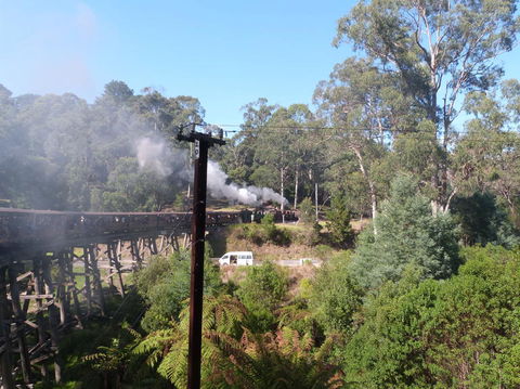Puffing Billy Steam Train & Healesville Wildlife Sanctuary Tour From Melbourne - Darwin Holiday 8