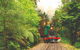 Puffing Billy Steam Train & Healesville Wildlife Sanctuary Tour From Melbourne - thumb 19