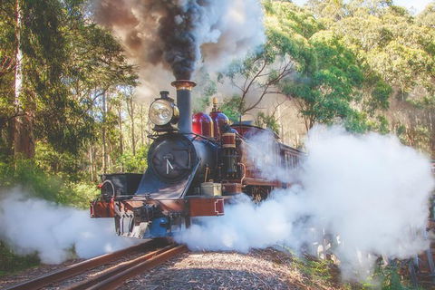 Puffing Billy Steam Train & Healesville Wildlife Sanctuary Tour From Melbourne - Darwin Holiday 13