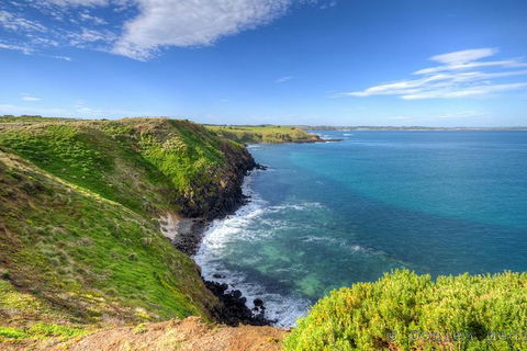 Phillip Island Penguin Parade Entry And Express Shuttle From Melbourne - Darwin Holiday 1