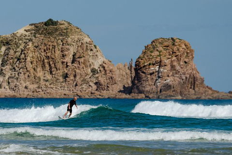 Small-Group Phillip Island Day Trip From Melbourne With Penguin Plus Viewing - Darwin Holiday 9