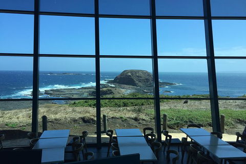 Small-Group Phillip Island Day Trip From Melbourne With Penguin Plus Viewing - Darwin Holiday 12