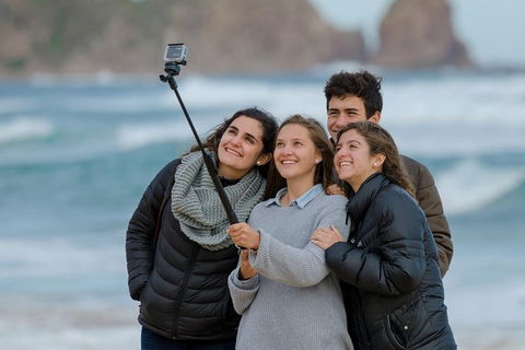 Small-Group Phillip Island Day Trip From Melbourne With Penguin Plus Viewing - Darwin Holiday 7